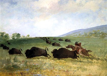 George Catlin - An Osage Indian Lancing a Buffalo - 1985.66.567 - Smithsonian American Art Museum