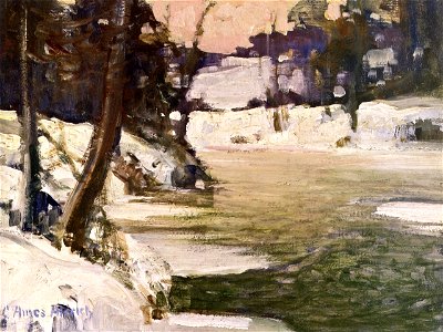 George Ames Aldrich St. Joe River