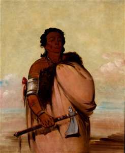 George Catlin - Ah'-sho-cole, Rotten Foot, a Noted Warrior - 1985.66.60 - Smithsonian American Art Museum