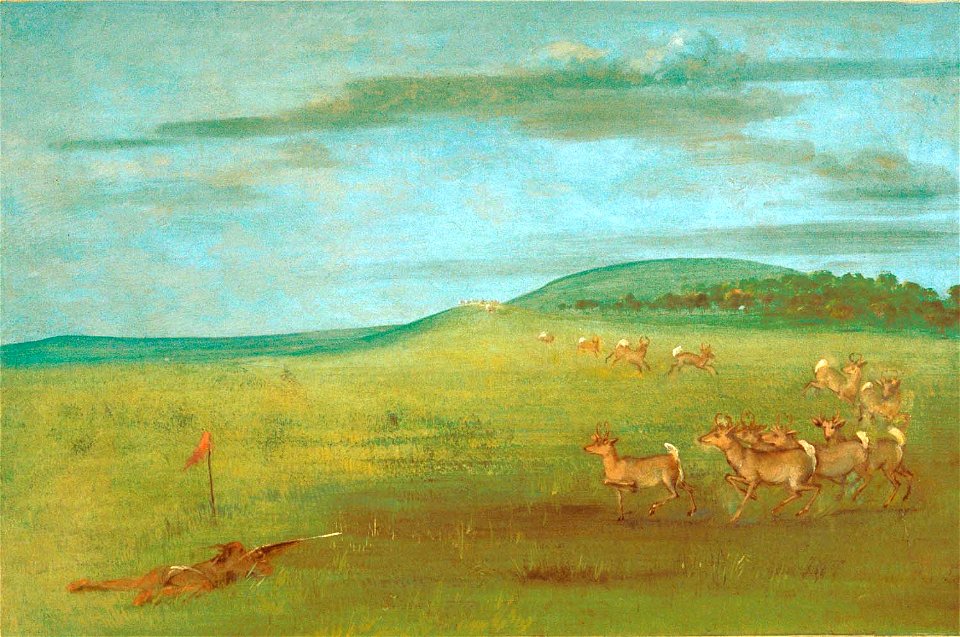 George Catlin - Antelope Shooting, Decoyed Up - 1985.66.419 - Smithsonian American Art Museum