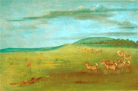 George Catlin - Antelope Shooting, Decoyed Up - 1985.66.419 - Smithsonian American Art Museum