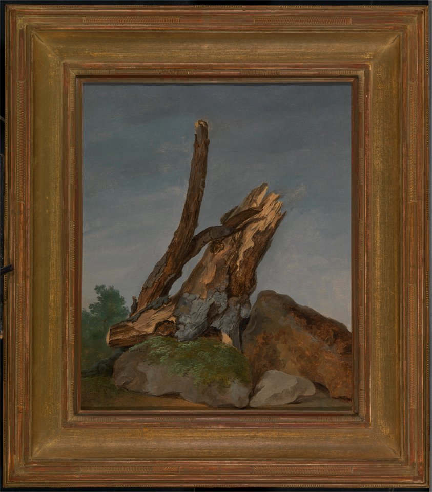 George Augustus Wallis - Study of Rocks and Branches - Google Art Project