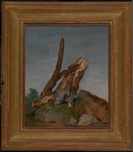 George Augustus Wallis - Study of Rocks and Branches - Google Art Project. Free illustration for personal and commercial use.