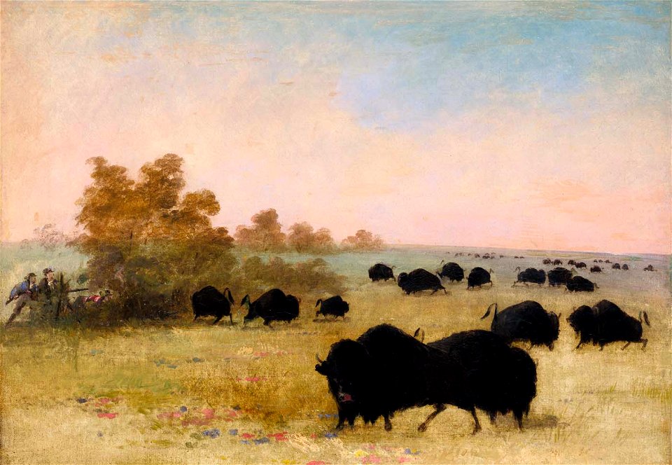 George Catlin - Catlin and Party Stalking Buffalo, Upper Missouri - 1985.66.579 - Smithsonian American Art Museum