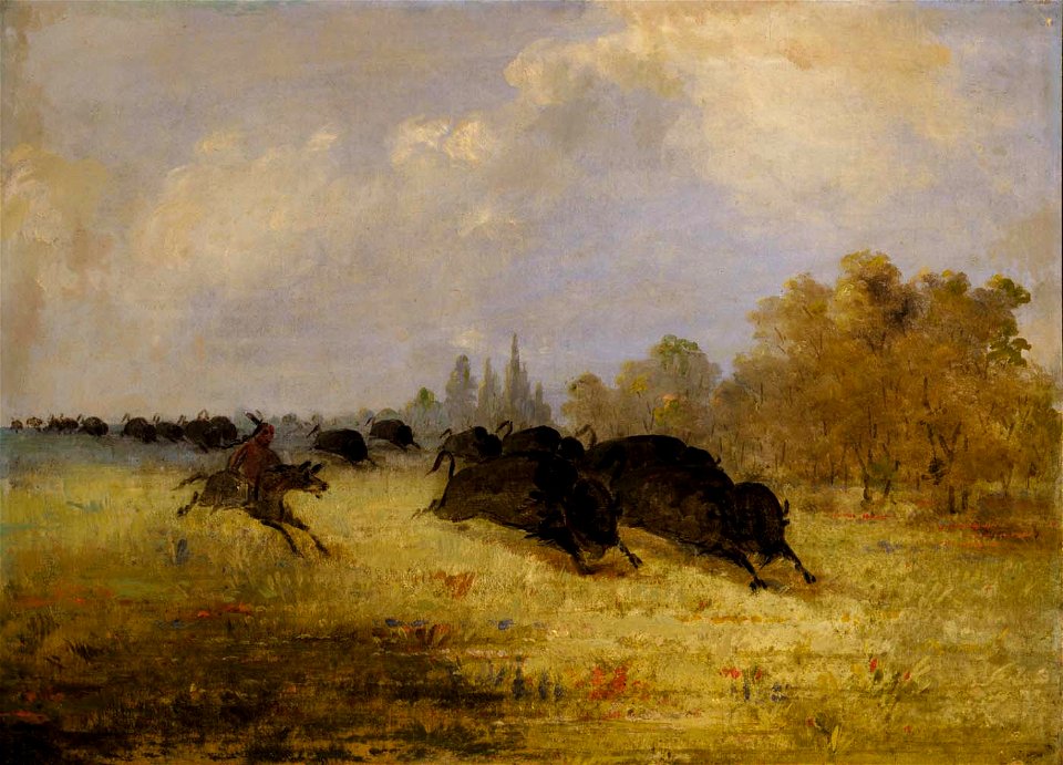George Catlin - Caddo Indians Chasing Buffalo, Cross Timbers, Texas - 1985.66.589 - Smithsonian American Art Museum