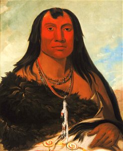 George Catlin - Cháh-ee-chópes, Four Wolves, a Chief in Mourning - 1985.66.162 - Smithsonian American Art Museum
