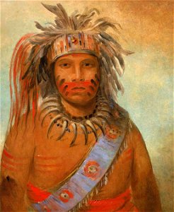George Catlin - Au-nim-muck-kwa-um, Tempest Bird - 1985.66.535 - Smithsonian American Art Museum