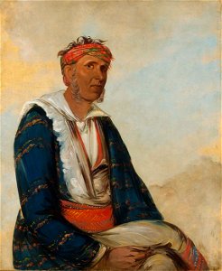 George Catlin - Cól-lee, a Band Chief - 1985.66.285 - Smithsonian American Art Museum
