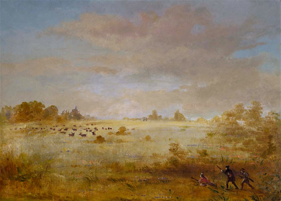 George Catlin - Elk Grazing on an Autumn Prairie - 1985.66.598 - Smithsonian American Art Museum
