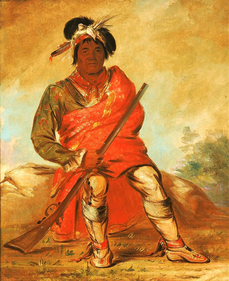 George Catlin - Eteh-ée-fix-e-co, Deer Without a Heart, a Chief - 1985.66.309 - Smithsonian American Art Museum