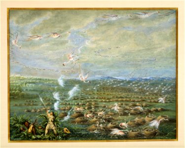 George Catlin - Flamingo Shooting in South America - 91.1555 - Museum of Fine Arts