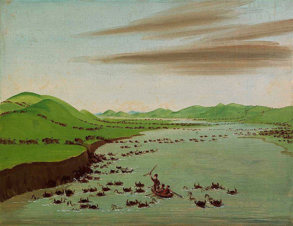 George Catlin - Buffalo Herds Crossing the Upper Missouri - 1985.66.400 - Smithsonian American Art Museum
