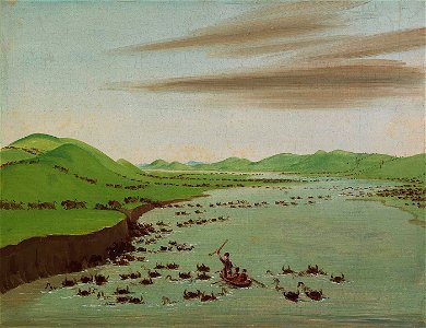 George Catlin - Buffalo Herds Crossing the Upper Missouri - 1985.66.400 - Smithsonian American Art Museum