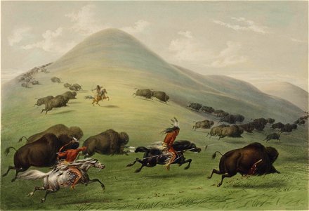 George Catlin - Buffalo hunt