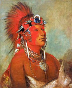 George Catlin - Jee-hé-o-hó-shah, Cannot Be Thrown Down, a Warrior - 1985.66.23 - Smithsonian American Art Museum