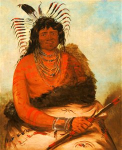 George Catlin - Háh-nee, The Beaver, a Warrior - 1985.66.52 - Smithsonian American Art Museum