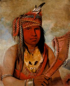 George Catlin - I-an-be-w'ah-dick, Male Caribou, a Brave - 1985.66.194 - Smithsonian American Art Museum