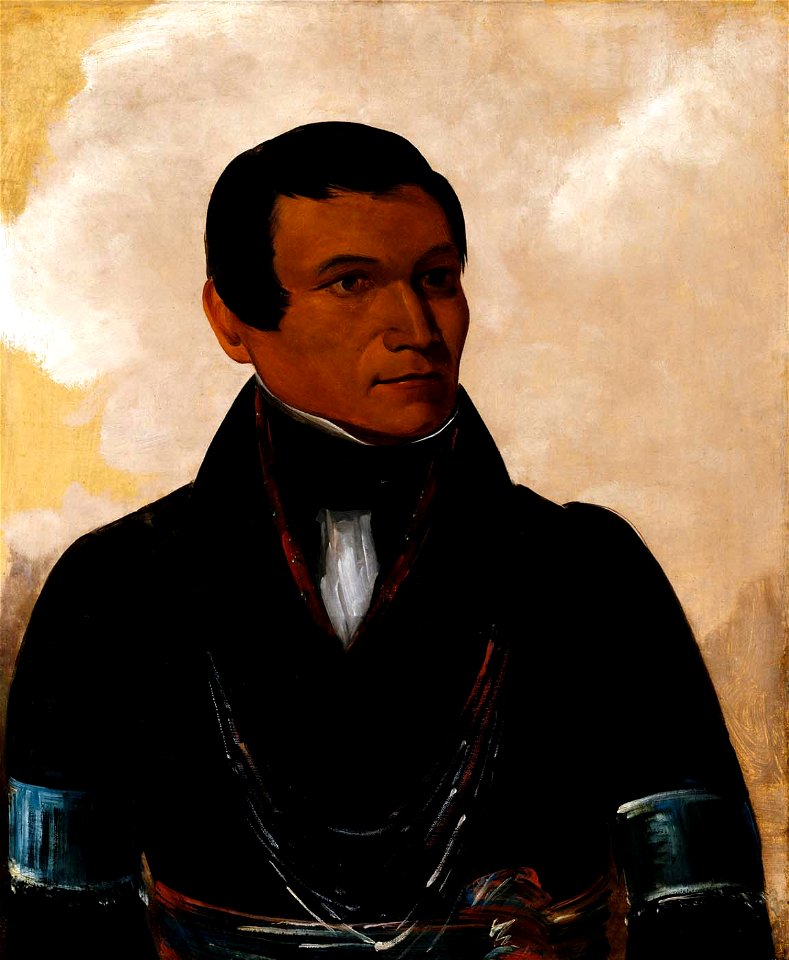 George Catlin - Cú-sick, Son of the Chief - 1985.66.271 - Smithsonian American Art Museum