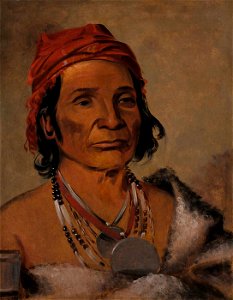 George Catlin - Deep Lake, an Old Chief - 1985.66.264 - Smithsonian American Art Museum