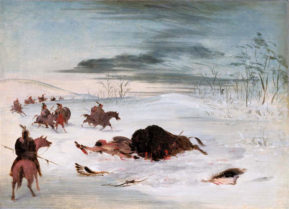 George Catlin - Dying Buffalo Bull in a Snowdrift - 1985.66.423 - Smithsonian American Art Museum