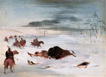 George Catlin - Dying Buffalo Bull in a Snowdrift - 1985.66.423 - Smithsonian American Art Museum