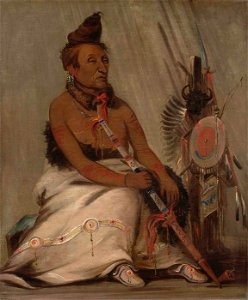 George Catlin - Eh-toh'k-pah-she-pée-shah, Black Moccasin, aged Chief - 1985.66.171 - Smithsonian American Art Museum