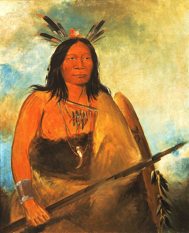 George Catlin - Kots-o-kó-ro-kó, Hair of the Bull's Neck, a Chief - 1985.66.49 - Smithsonian American Art Museum