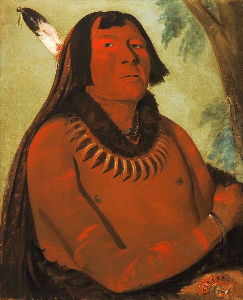 George Catlin - Mah-táhp-ta-a, Rushes through the Middle, a Brave - 1985.66.130 - Smithsonian American Art Museum