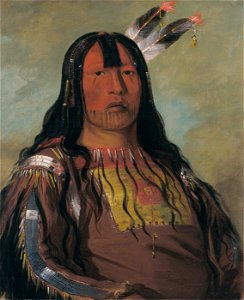 George Catlin - Mix-ke-móte-skin-na, Iron Horn, a Warrior - 1985.66.153 - Smithsonian American Art Museum