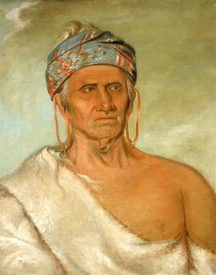 George Catlin - Lay-láw-she-kaw, Goes Up the River, an Aged Chief - 1985.66.277 - Smithsonian American Art Museum