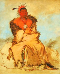 George Catlin - Loo-rá-wée-re-coo, Bird that Goes to War, a Tapage Pawnee - 1985.66.103 - Smithsonian American Art Museum