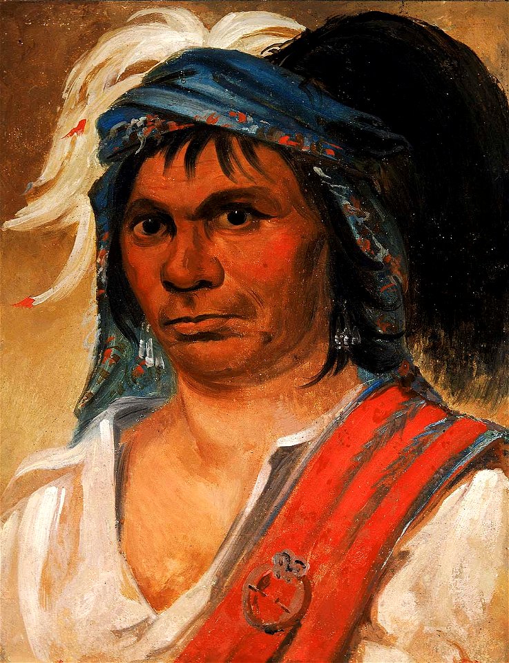 George Catlin - Hard Hickory, an Amiable Man - 1985.66.266 - Smithsonian American Art Museum