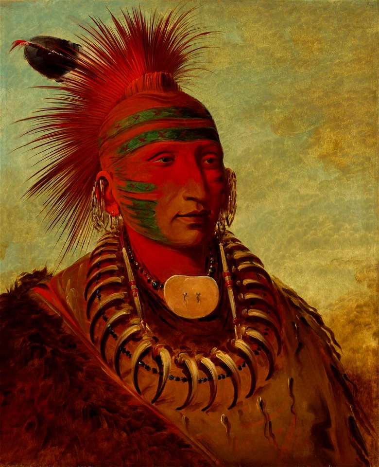 George Catlin - No-ho-mun-ya, One Who Gives No Attention - 1985.66.522 - Smithsonian American Art Museum