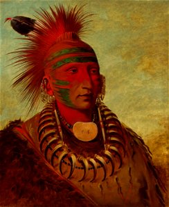 George Catlin - No-ho-mun-ya, One Who Gives No Attention - 1985.66.522 - Smithsonian American Art Museum