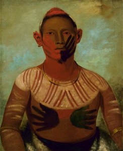 George Catlin - I-o-wáy, One of Black Hawk's Principal Warriors - 1985.66.12 - Smithsonian American Art Museum