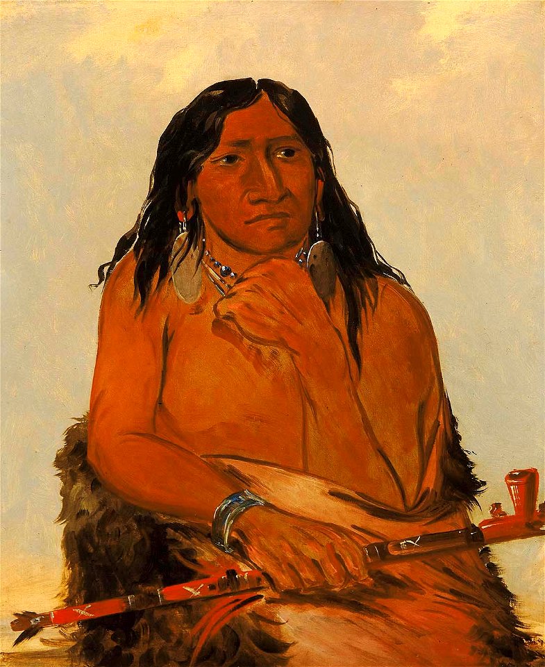 George Catlin - Is-sa-wáh-tám-ah, Wolf Tied with Hair, a Chief - 1985.66.50 - Smithsonian American Art Museum