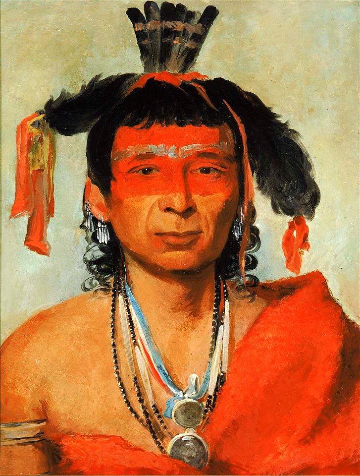George Catlin - Másh-kee-wet, a Great Dandy - 1985.66.223 - Smithsonian American Art Museum