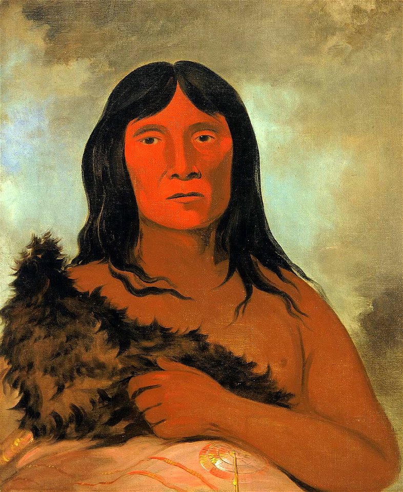 George Catlin - Kay-ée-qua-da-kúm-ee-gísh-kum, He Who Tries the Ground with His Foot - 1985.66.185 - Smithsonian American Art Museum