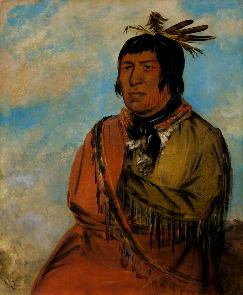 George Catlin - Na-pów-sa, Bear Traveling at Night, a Chief - 1985.66.238 - Smithsonian American Art Museum