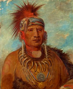 George Catlin - Neu-mon-ya, Walking Rain, War Chief - 1985.66.518 - Smithsonian American Art Museum