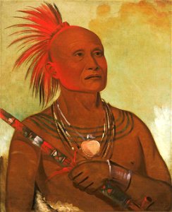 George Catlin - Pam-a-hó, The Swimmer, One of Black Hawk's Warriors - 1985.66.13 - Smithsonian American Art Museum