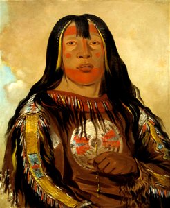 George Catlin - Peh-tó-pe-kiss, Eagle's Ribs, a Piegan Chief - 1985.66.160 - Smithsonian American Art Museum