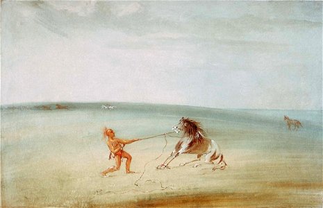 George Catlin - Breaking Down the Wild Horse - 1985.66.501 - Smithsonian American Art Museum. Free illustration for personal and commercial use.