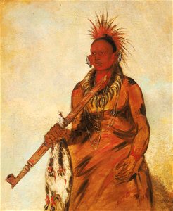 George Catlin - No-o-mún-nee, Walks in the Rain, a Warrior - 1985.66.258 - Smithsonian American Art Museum