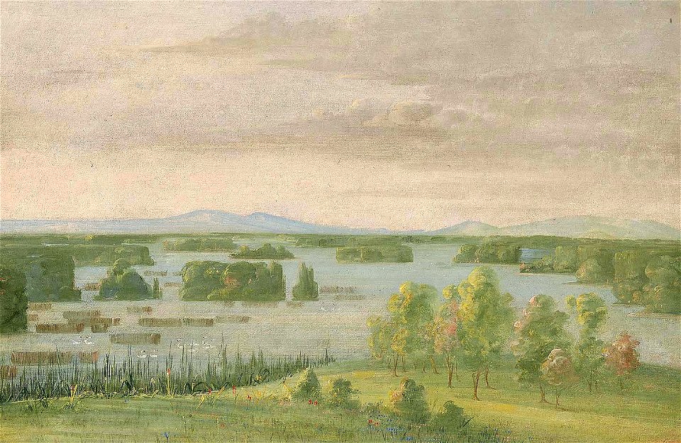 George Catlin - Lac du Cygne (Swan Lake), Near the Coteau des Prairies - 1985.66.348 - Smithsonian American Art Museum