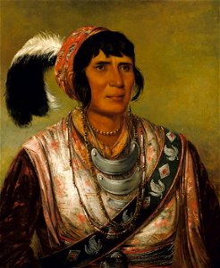 George Catlin - Os-ce-o-lá, The Black Drink, a Warrior of Great Distinction - 1985.66.301 - Smithsonian American Art Museum