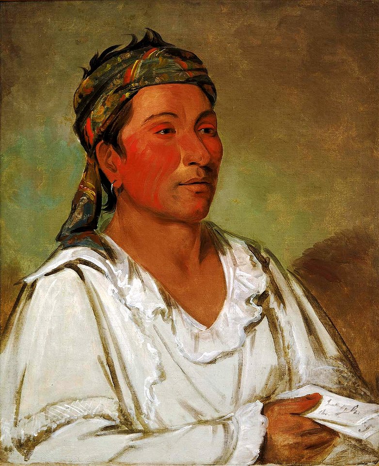 George Catlin Lay Lóo Ah Pee ái Shee Kaw Grass Bush And Blossom Semicivilized 198566 