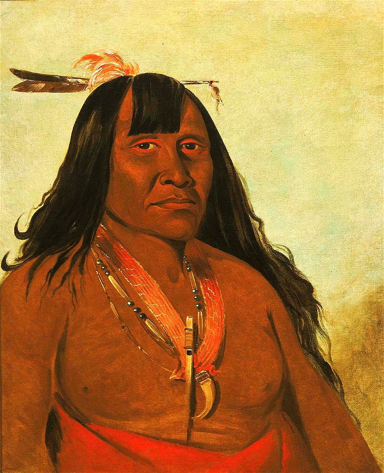 George Catlin - Bón-són-gee, New Fire, a Band Chief - 1985.66.64 - Smithsonian American Art Museum