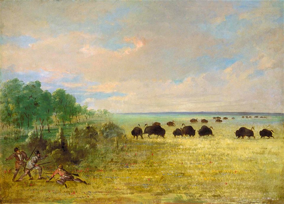 George Catlin - Catlin and Party Stalking Buffalo in Texas - 1985.66.594 - Smithsonian American Art Museum