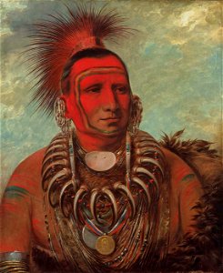 George Catlin - Shon-ta-yi-ga, Little Wolf, a Famous Warrior - 1985.66.521 - Smithsonian American Art Museum